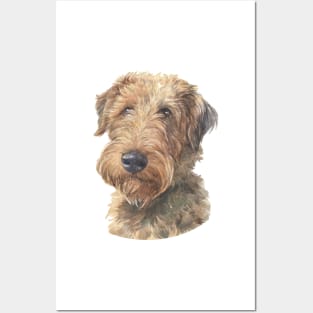 Welsh Terrier Watercolor Art Posters and Art